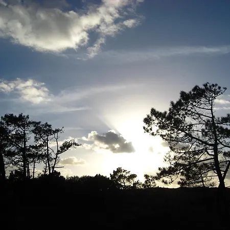 Casa De Luxo Em Ferienhaus Esposende